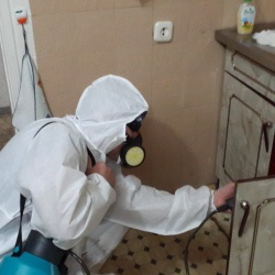 Дезинфекция от муравьев в квартире Улица Академика Королёва метро Москвы