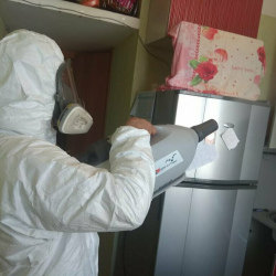 Уничтожение насекомых в квартире. Улица Академика Королёва